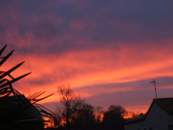 DSCF5494