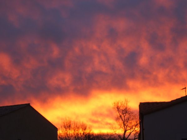 DSCF5495