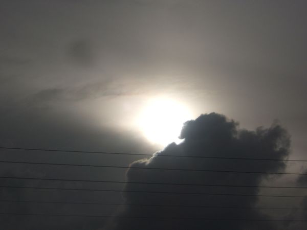 DSCF5508