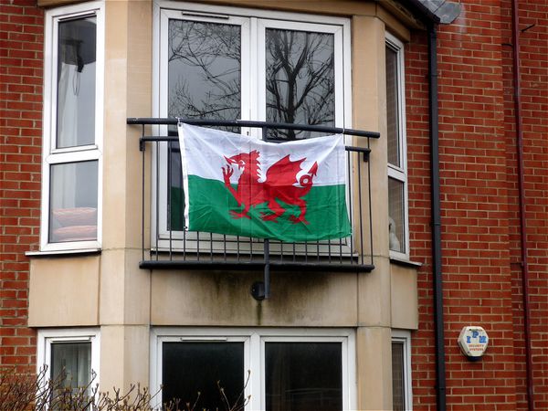 Come-on-Wales.JPG