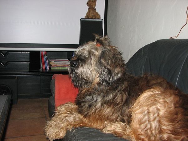 Januar 2010 500