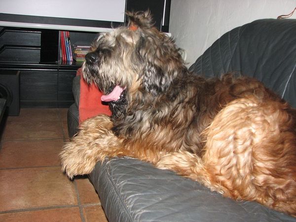Januar 2010 501