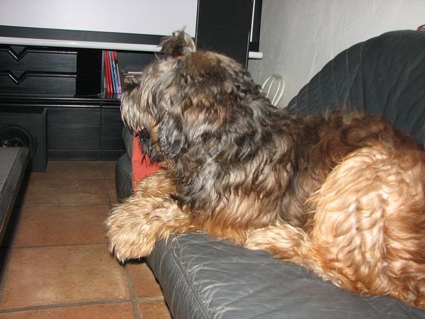 Januar 2010 502