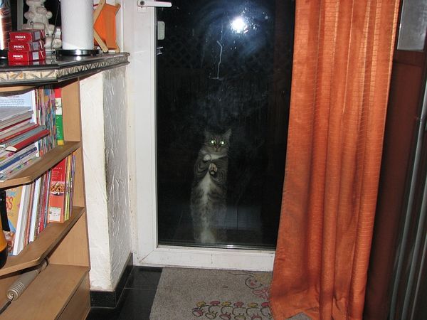 Filou.jpg