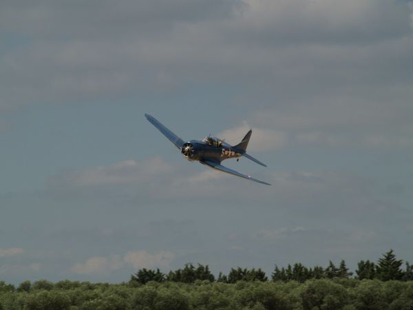 P6123295