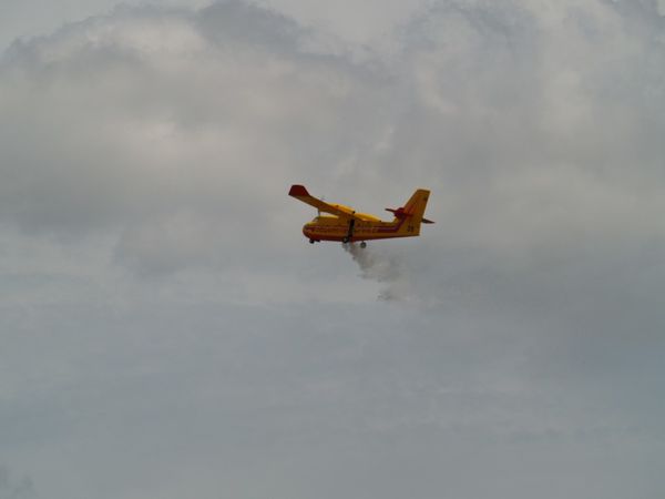 P6123354