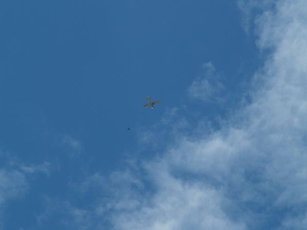 P6133526