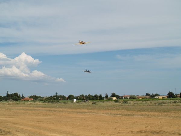 P6133745