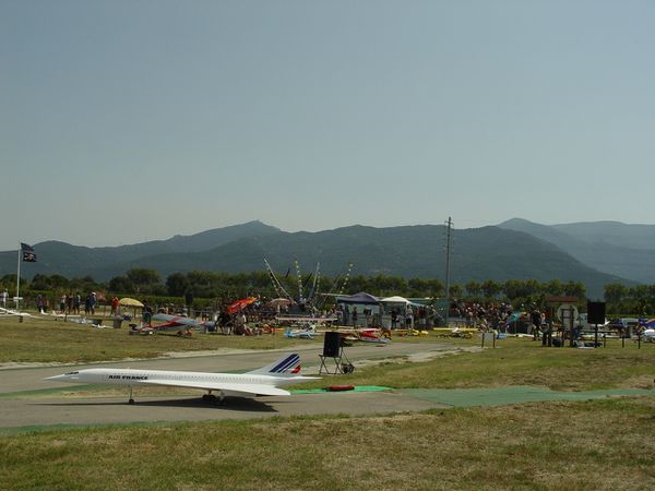 DSC03536