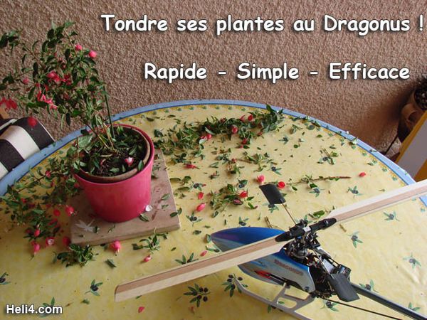 tondre plantes helico rc dragonus