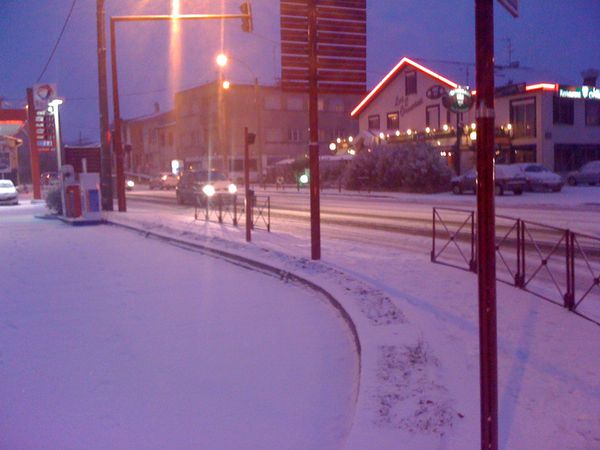 Ramonville-hiver-2009 0261