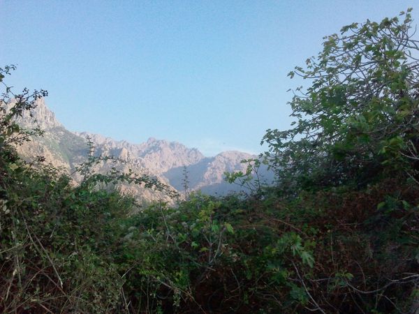 2011-09-28-17.48.26.jpg