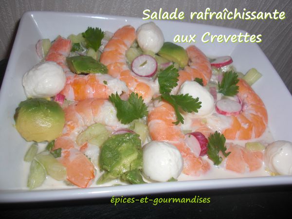 salade-rafraichissante-aux-crevettes-CIMG4343--2-.jpg