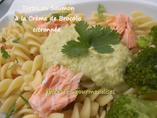 tortis-au-saumon-a-la-creme-de-brocolis-CIMG1589--2-.jpg