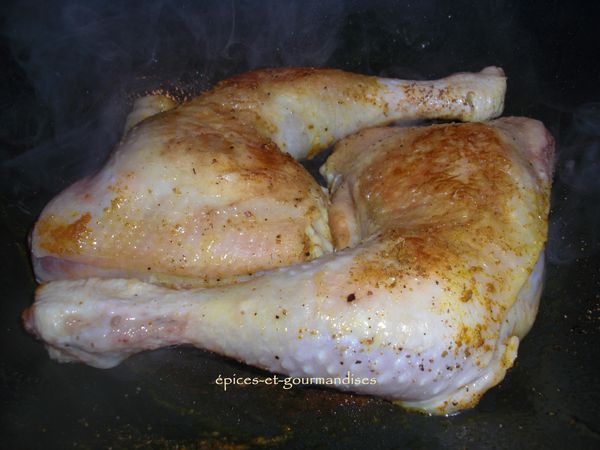 gratin-de-poulet-au-curcuma-au-riz-et-aux-poireaux-CIMG4942.jpg