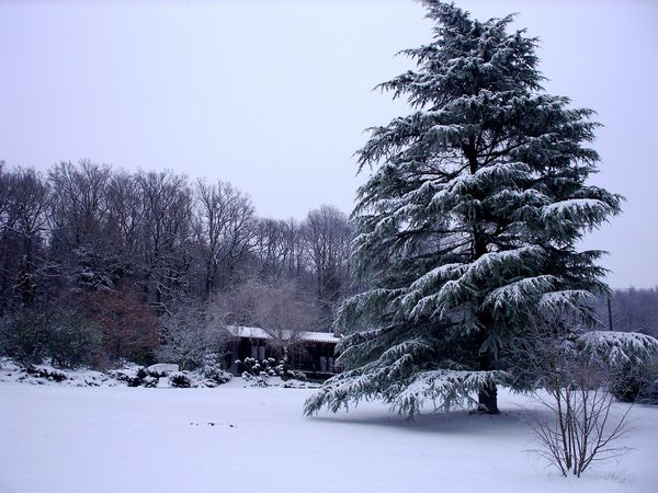 Neige-Limousin-dec-2009 6390