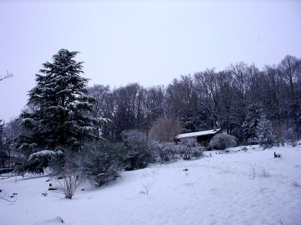 Neige-Limousin-dec-2009 6391