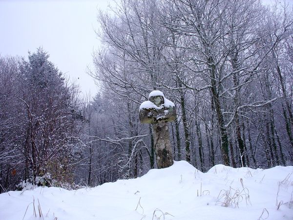 Neige-Limousin-dec-2009 6397