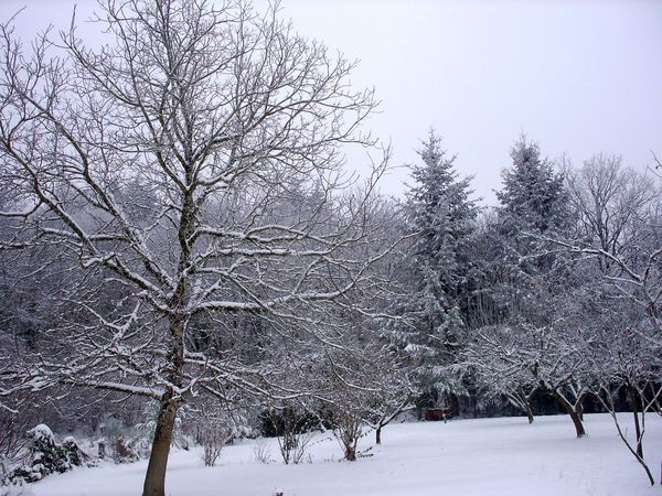 Neige-Limousin-dec-2009 6401