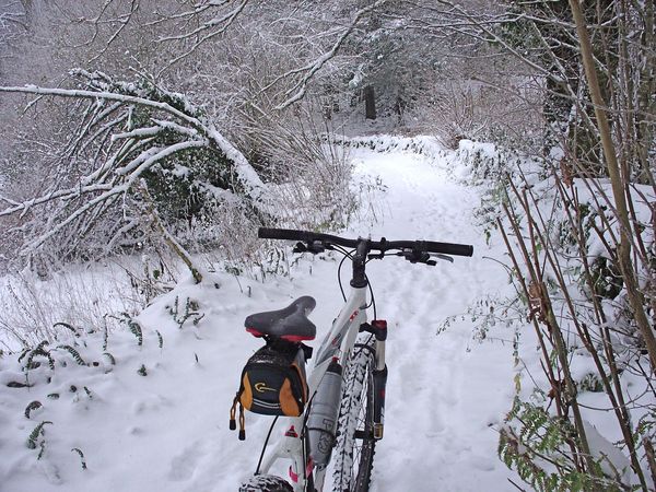 Neige-Limousin-dec-2009 6409