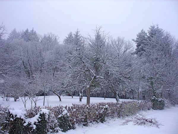 Neige-Limousin-dec-2009 6410