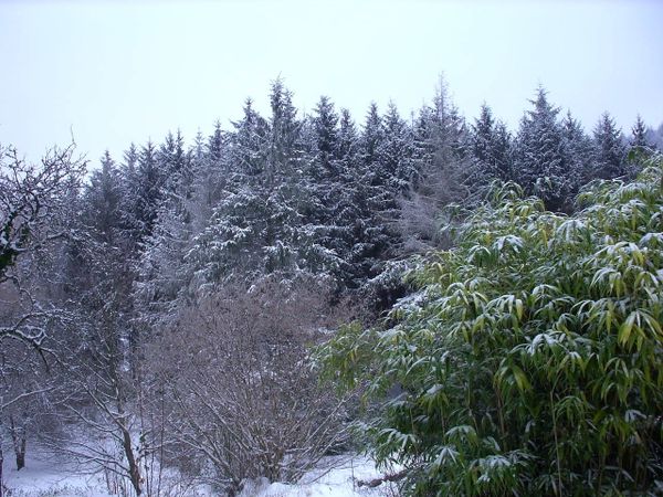 Neige-Limousin-dec-2009 6420