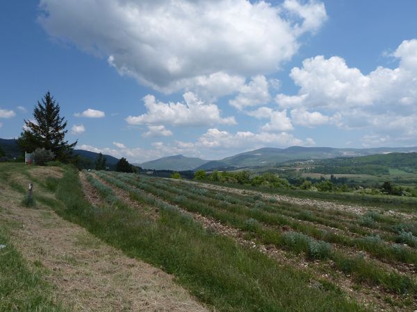 P1000259