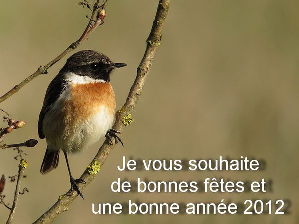 photos9992 0002 bonne annee 2012