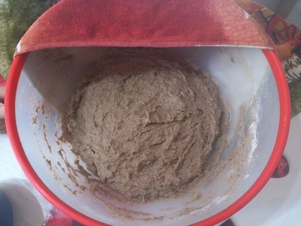 Pain-sans-petrissage-en-cocotte-Jim-Lahey-No-Knead-copie-1.jpg