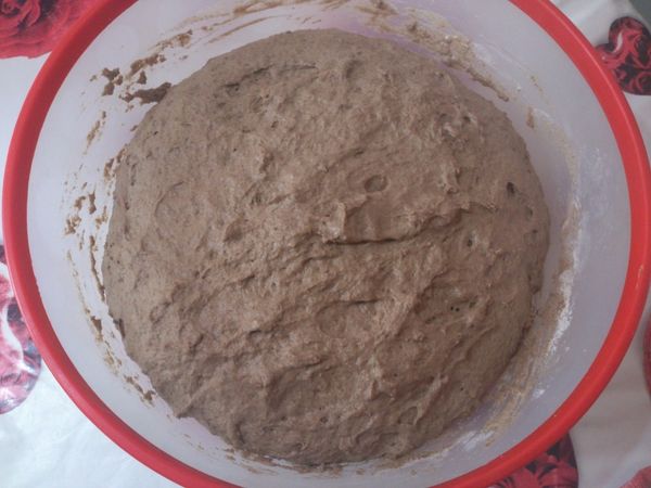Pain-sans-petrissage-en-cocotte-Jim-Lahey-No-Knead-copie-2.jpg
