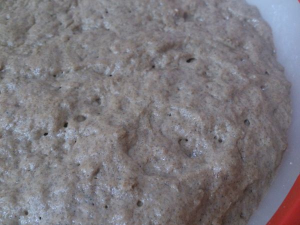 Pain-sans-petrissage-en-cocotte-Jim-Lahey-No-Knead-copie-5.jpg