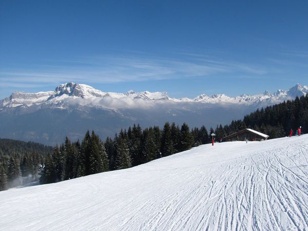 Pays-du-Mont-Blanc 4457