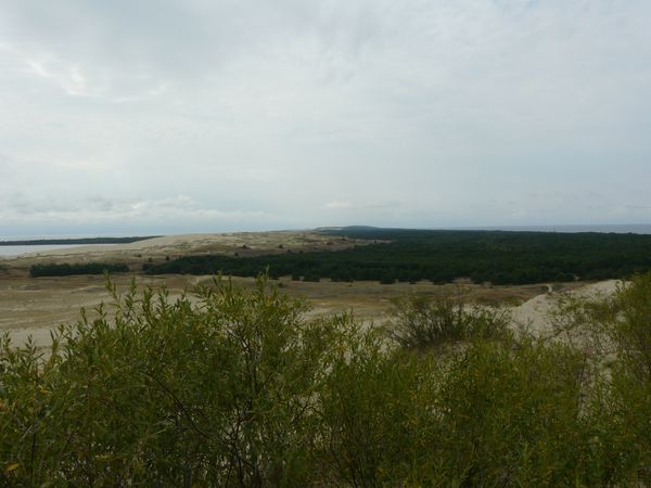 P1190335.JPG