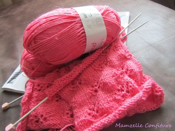 encours-pull2.jpg