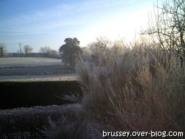 BRUSSEY GIVRE