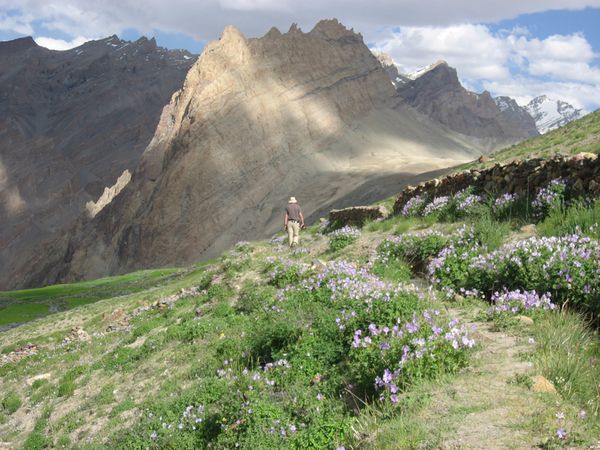 Zanskar-2eme-partie-294.jpg