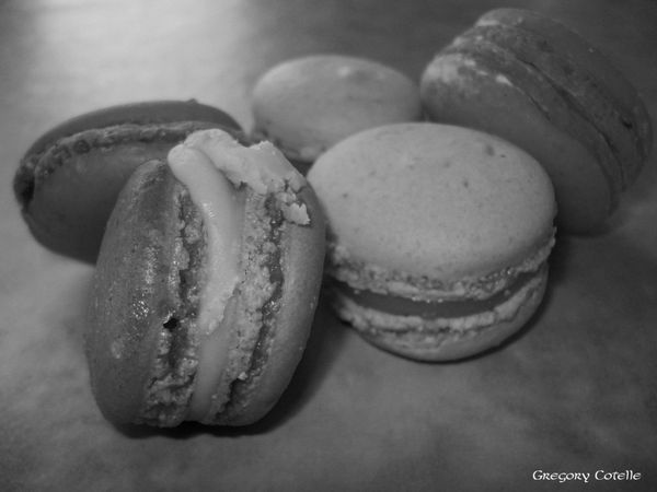 DSC00314 copie