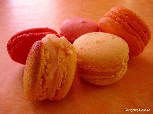 DSC00316 copie