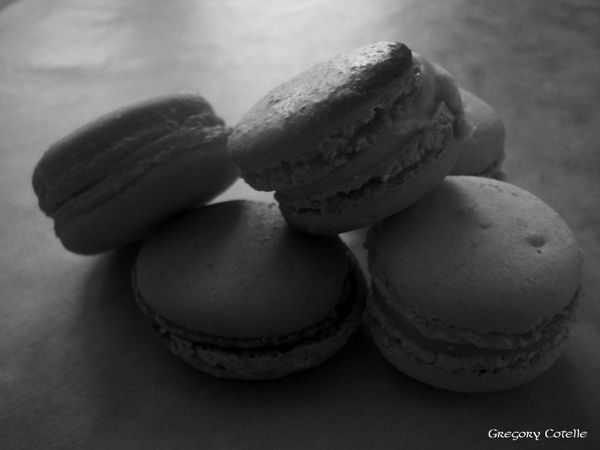DSC00317 copie