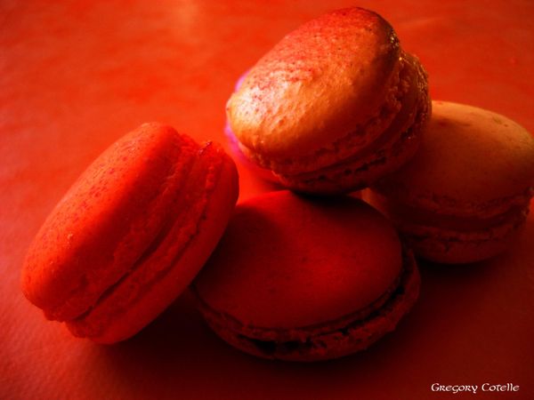DSC00319 copie