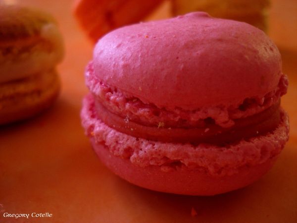 DSC00325 copie