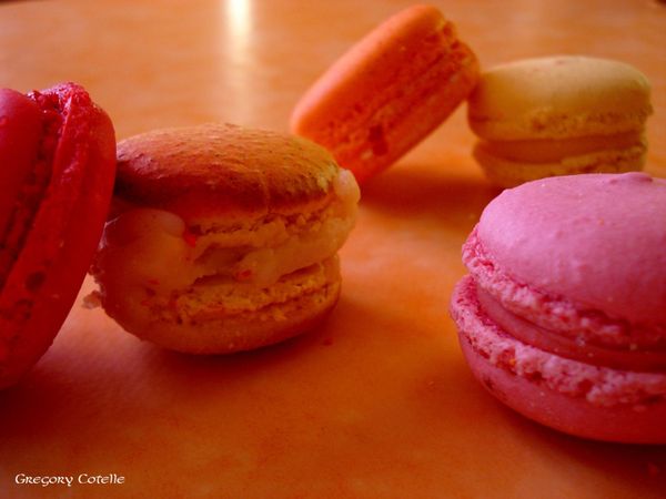 DSC00326 copie