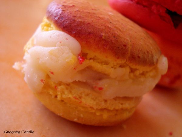 DSC00328 copie