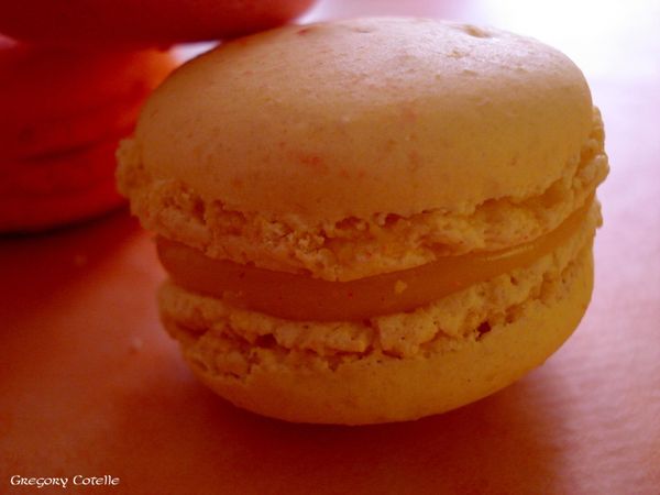 DSC00329 copie