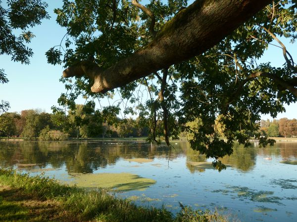 Chantilly le parc (10)