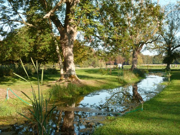 Chantilly le parc (15)