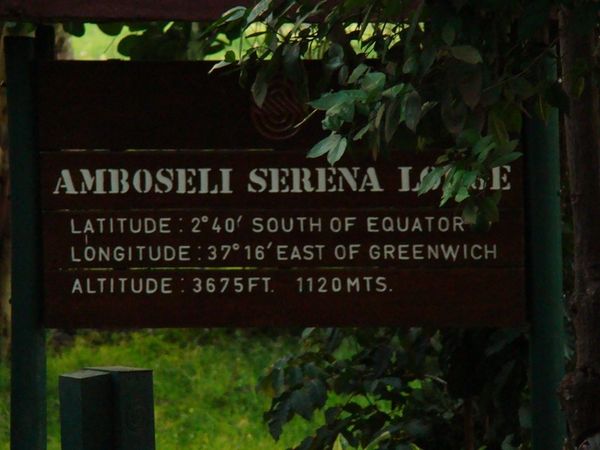 jour 1 parc Ambosseli 135