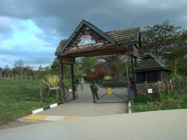 jour-3-lac-Nakuru-198-copie-1.jpg