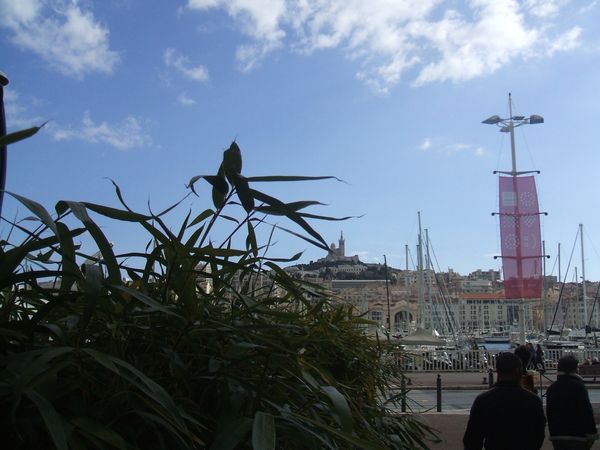 DSCF6263.JPG