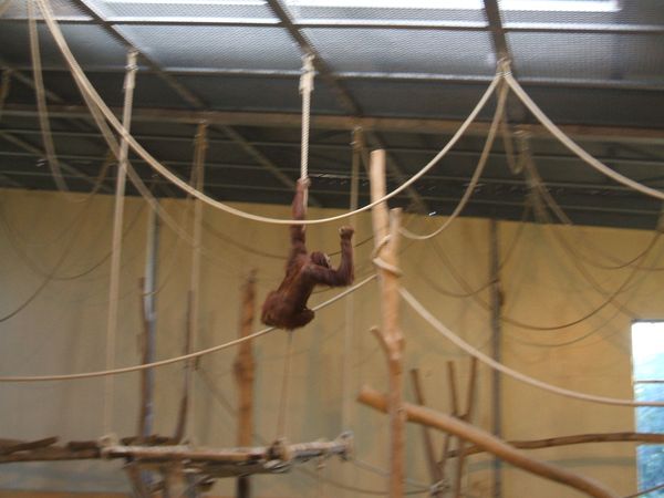 DSCF7068.JPG